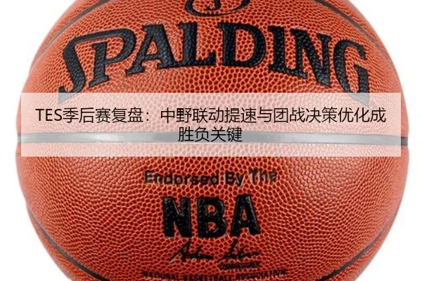 TES季后赛复盘：中野联动提速与团战决策优化成胜负关键 - MKSPORTSMKSports